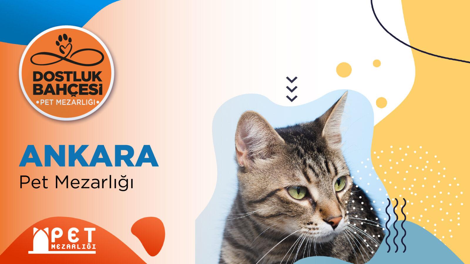 Ankara Pet Mezarlığı