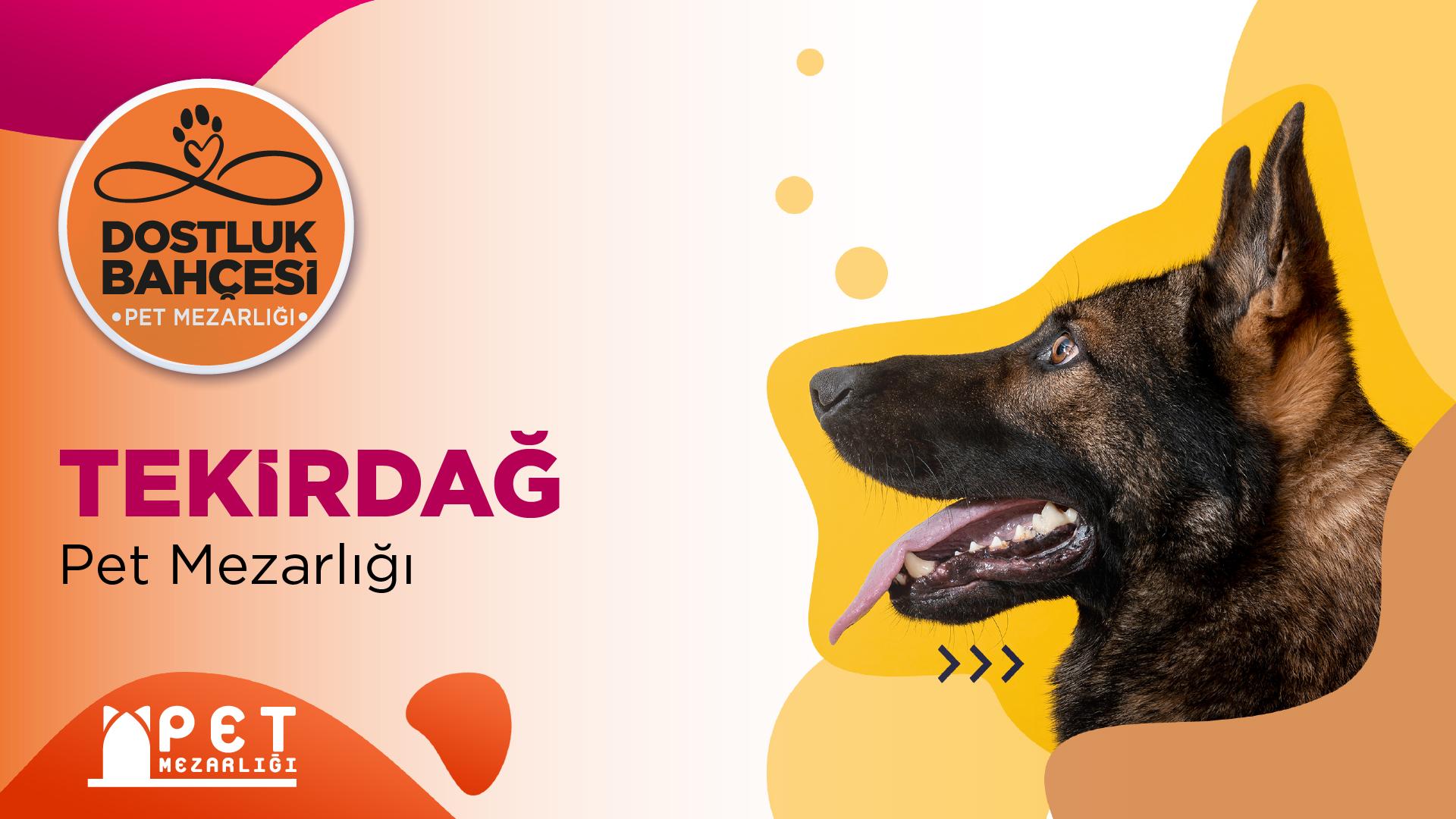 Tekirdağ Pet Mezarlığı